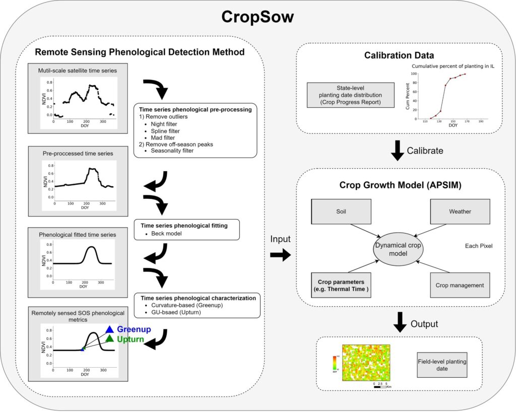 CropSow-1024x820.jpg