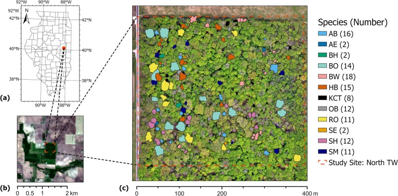 TreePhenology.jpg